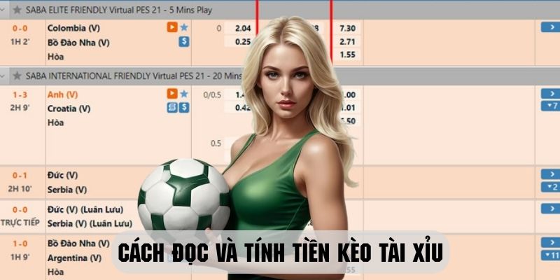 Hướng dẫn chi tiết cách đọc và tính tiền kèo theo dạng tài xỉu 